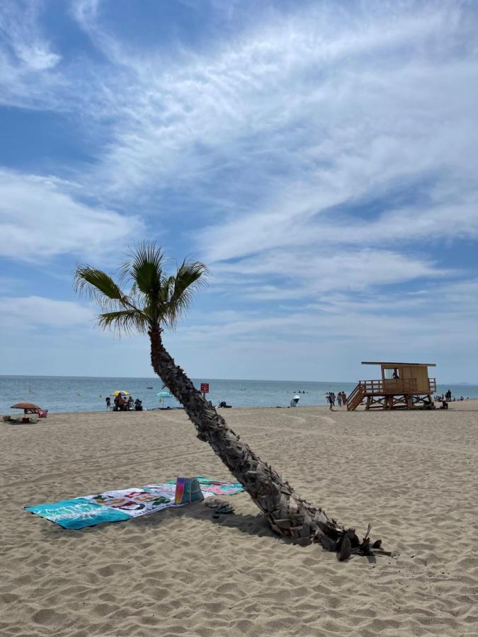 T2 Avec Terrasse, Vue Etang Et Son Coucher De Soleil, Plage A Proximite, Wifi Et Place De Parking Gratuit Que L On Nomme Puesta De Sol Le Barcarès Εξωτερικό φωτογραφία