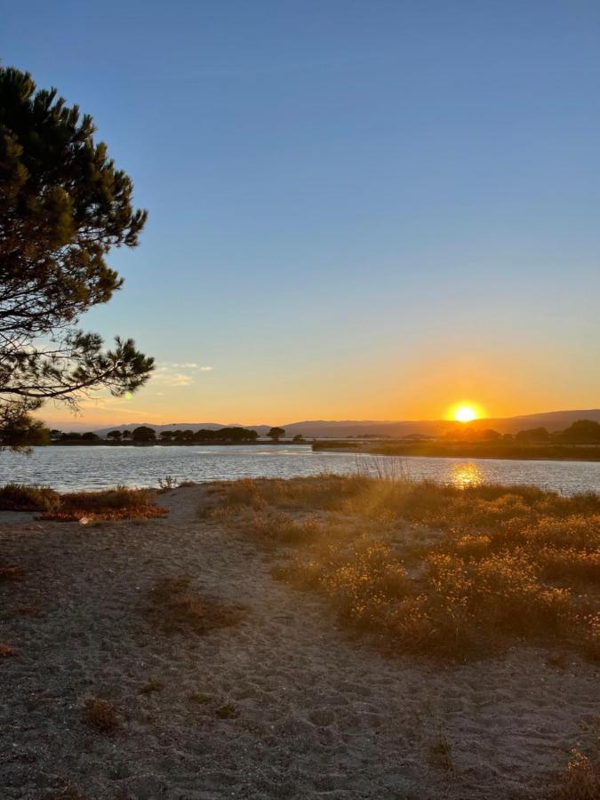 T2 Avec Terrasse, Vue Etang Et Son Coucher De Soleil, Plage A Proximite, Wifi Et Place De Parking Gratuit Que L On Nomme Puesta De Sol Le Barcarès Εξωτερικό φωτογραφία